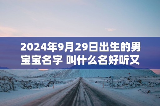 2024年9月29日出生的男宝宝名字 叫什么名好听又吉利