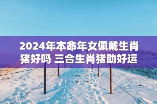 2025年本命年女佩戴生肖猪好吗 三合生肖猪助好运