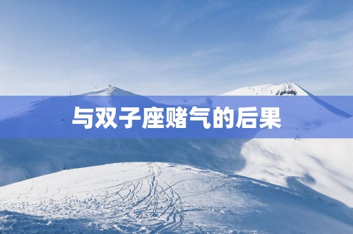 与双子座赌气的后果