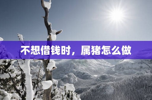 不想借钱时，属猪怎么做