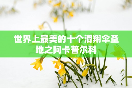 世界上最美的十个滑翔伞圣地之阿卡普尔科