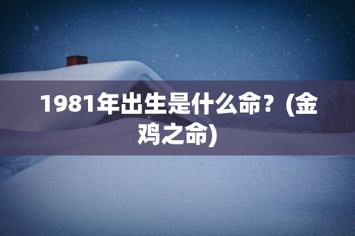 1981年出生是什么命？(金鸡之命)