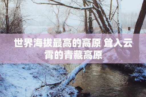 世界海拔最高的高原 耸入云霄的青藏高原