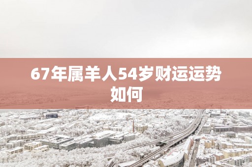 67年属羊人54岁财运运势如何