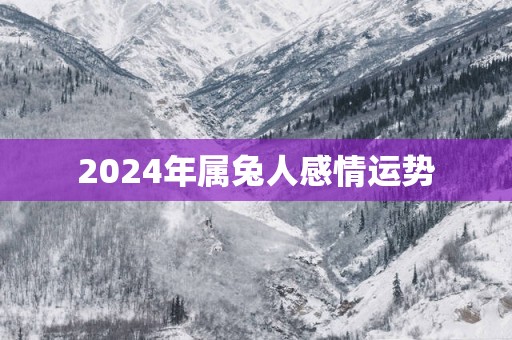2025年属兔人感情运势