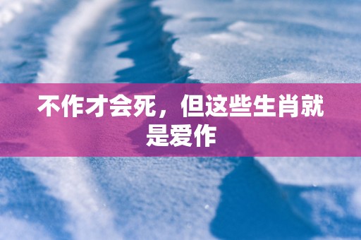 不作才会死，但这些生肖就是爱作