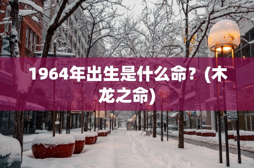 1964年出生是什么命？(木龙之命)
