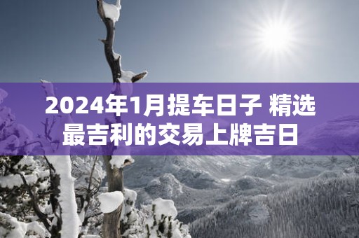 2025年1月提车日子 精选最吉利的交易上牌吉日