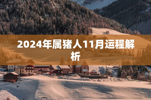 2025年属猪人11月运程解析