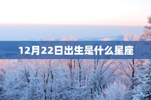 12月22日出生是什么星座