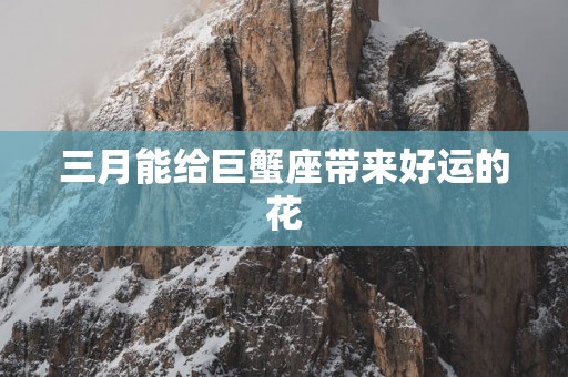 三月能给巨蟹座带来好运的花