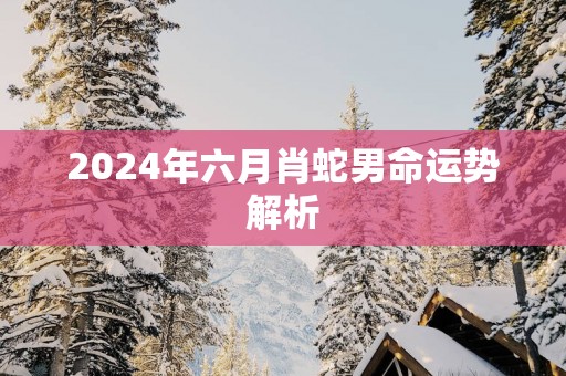 2025年六月肖蛇男命运势解析