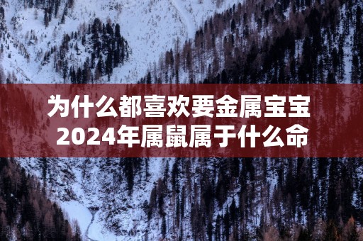 为什么都喜欢要金属宝宝 2024年属鼠属于什么命