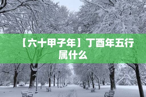 【六十甲子年】丁酉年五行属什么