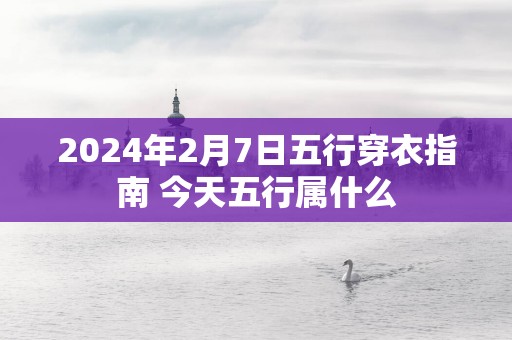 2025年2月7日五行穿衣指南 今天五行属什么