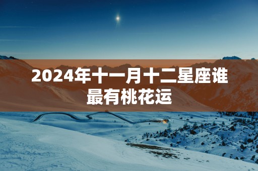 2025年十一月十二星座谁最有桃花运