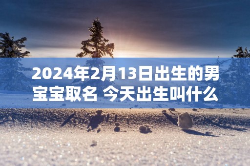 2025年2月13日出生的男宝宝取名 今天出生叫什么名字好