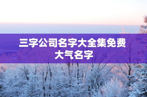 三字公司名字大全集免费 大气名字