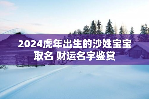 2025蛇年出生的沙姓宝宝取名 财运名字鉴赏