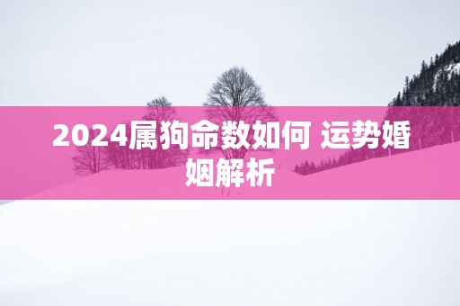2025属狗命数如何 运势婚姻解析