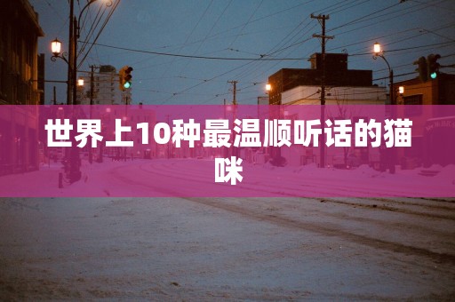 世界上10种最温顺听话的猫咪