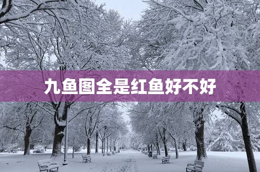 九鱼图全是红鱼好不好