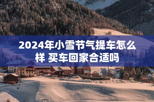 2025年小雪节气提车怎么样 买车回家合适吗