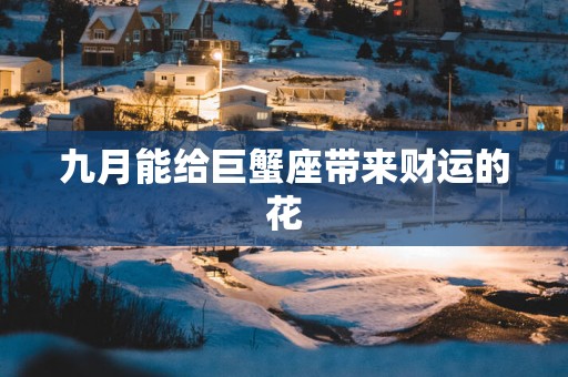 九月能给巨蟹座带来财运的花