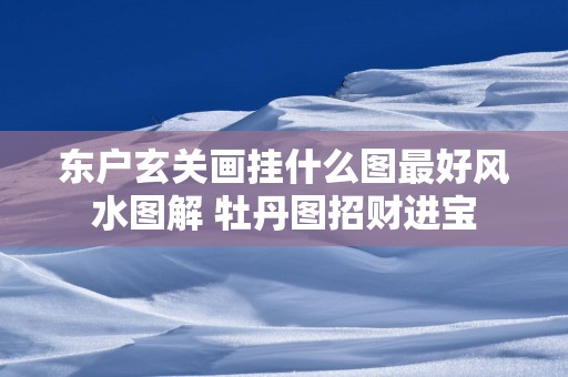 东户玄关画挂什么图最好风水图解 牡丹图招财进宝