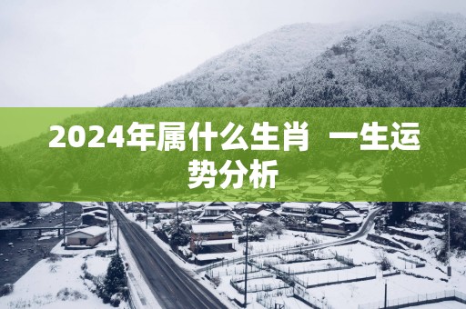 2025年属什么生肖  一生运势分析