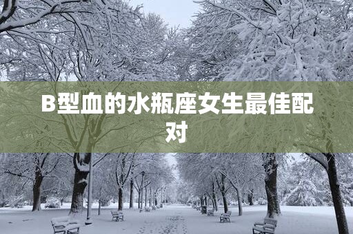 B型血的水瓶座女生最佳配对