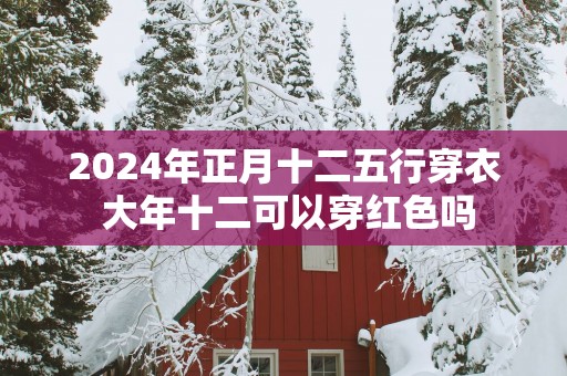 2025年正月十二五行穿衣 大年十二可以穿红色吗