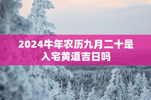 2025蛇年农历九月二十是入宅黄道吉日吗