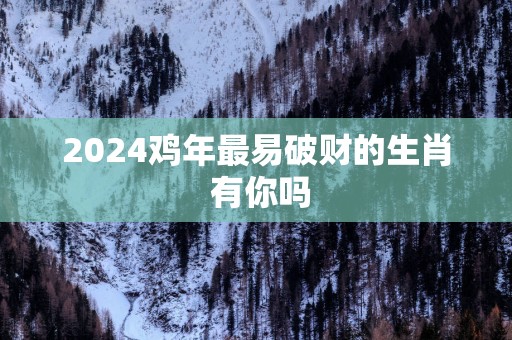 2025鸡年最易破财的生肖 有你吗
