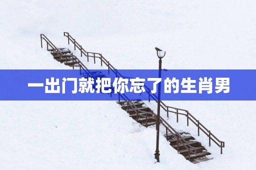 一出门就把你忘了的生肖男