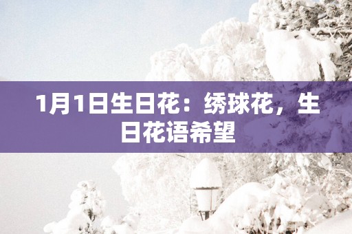 1月1日生日花：绣球花，生日花语希望