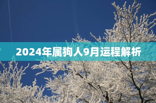 2025年属狗人9月运程解析