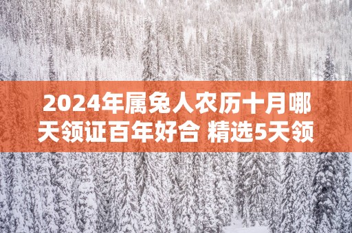 2025年属兔人农历十月哪天领证百年好合 精选5天领结婚证好日子