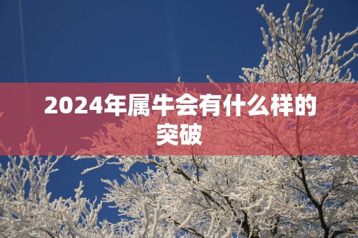 2025年属牛会有什么样的突破