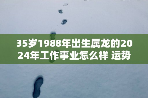 35岁1988年出生属龙的2025年工作事业怎么样 运势良好