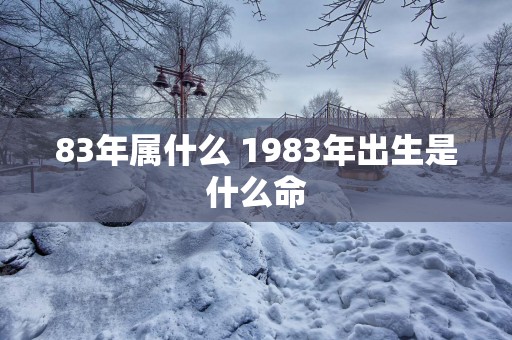 83年属什么 1983年出生是什么命