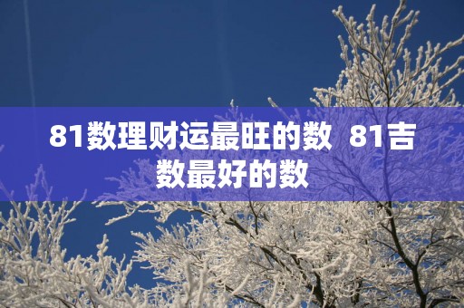 81数理财运最旺的数  81吉数最好的数