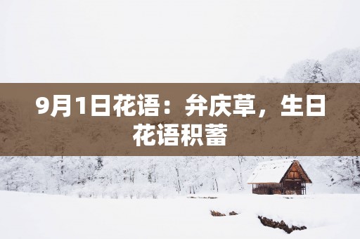 9月1日花语：弁庆草，生日花语积蓄