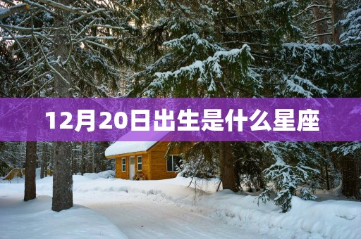 12月20日出生是什么星座