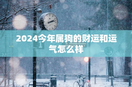 2025今年属狗的财运和运气怎么样