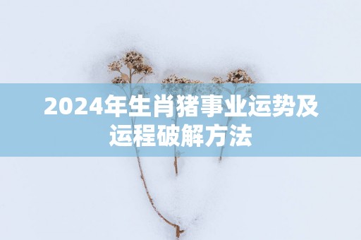 2025年生肖猪事业运势及运程破解方法