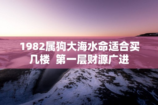1982属狗大海水命适合买几楼  第一层财源广进