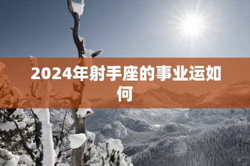 2025年射手座的事业运如何