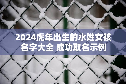 2025蛇年出生的水姓女孩名字大全 成功取名示例
