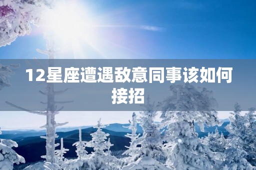 12星座遭遇敌意同事该如何接招